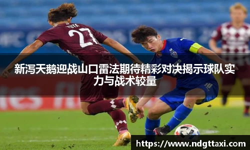 新泻天鹅迎战山口雷法期待精彩对决揭示球队实力与战术较量
